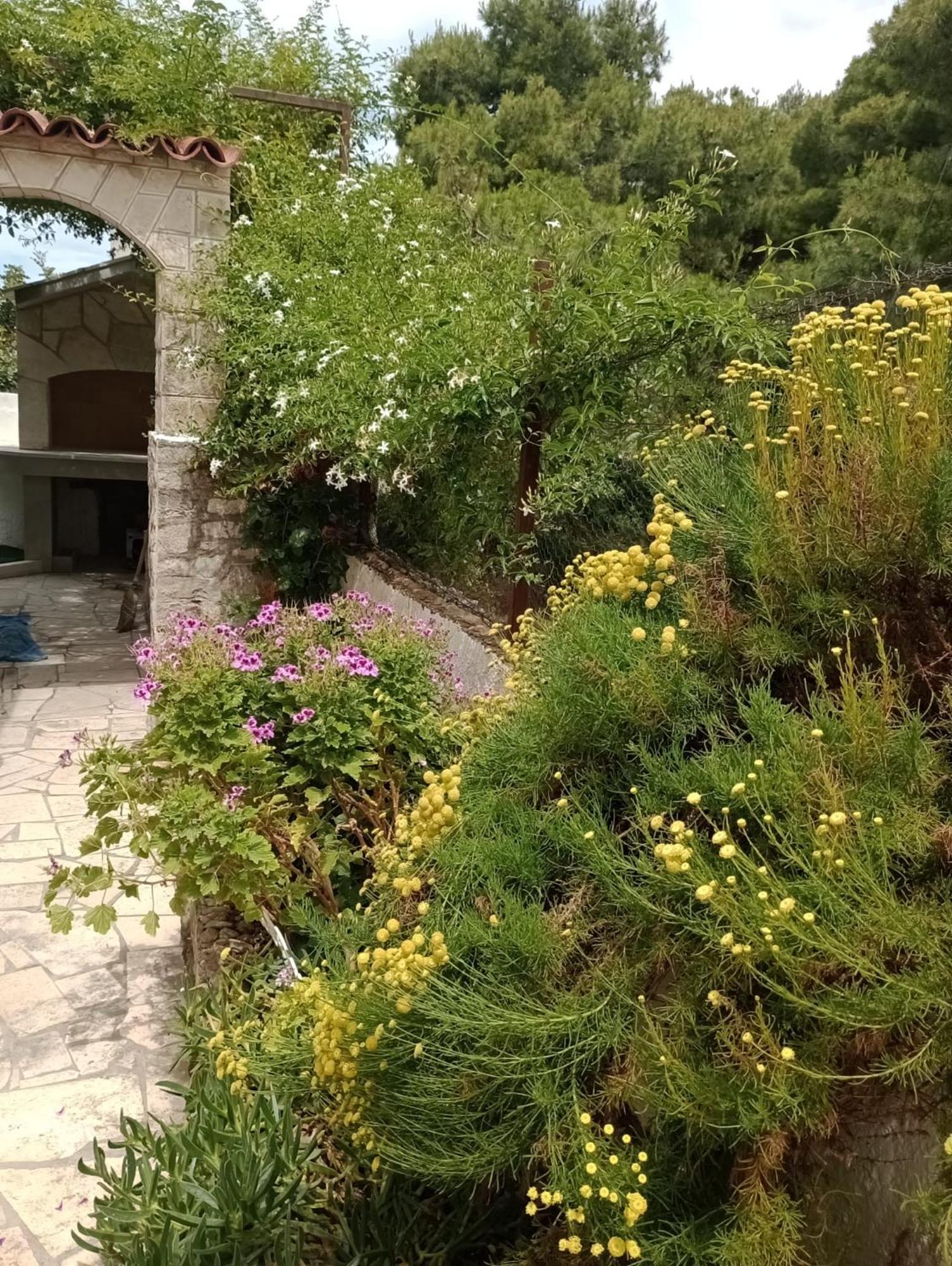 Vila Kuca Za Odmor Skalina - Sea View Splitska Pokoj fotografie